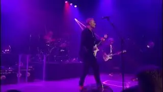 Philip Sayce - Lady Love Divine (Live Germany 2024)