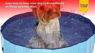 Folding Dog Swimming Pool