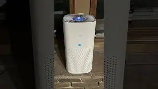 Is the LEVOIT Core 600S-P Worth It in 2025? Full Test & Honest Opinion ✅