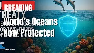 UN Treaty Secures Oceans: Two-Thirds Now Protected