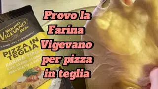 Provo la farina Vigevano per pizza in teglia - Parte 1