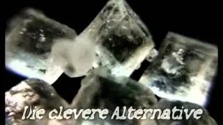 Bester Zucker Ersatz - Zucker alternative ?