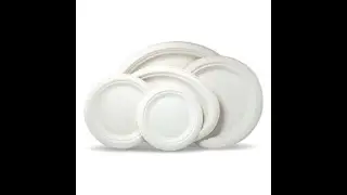disposable biodegradable sugarcane bagasse plate