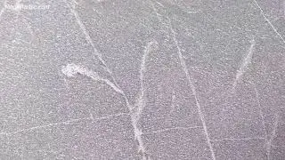 Silver grey honed granite slab