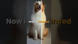 White balance in a click with Color Finale 2