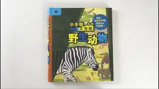 Magic Flashlight Big Discoveries: Wild Animals