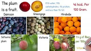 Plums and  prunes -  Best Fruit for Weight loss and Constipation. plums composition, calories