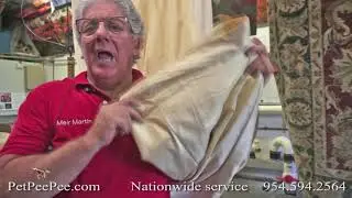 Cleaning custom-made Drapery from urine stains | By PetPeePee Company