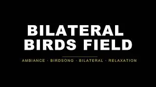 Bilateral + Birds & Harmonies: Relaxing Bird Sounds with Soothing Melodies for Deep Relaxation