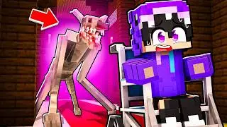 MINECRAFT HORROR MA SONO IN SEDIA A ROTELLE