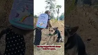 Beautiful friendship between the monkey and the dog🐶🐵 #dog #monkey #animals #trending #shortvideo