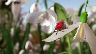 Happy First Day of Spring 2023 & Nowruz from TAF Solutions
