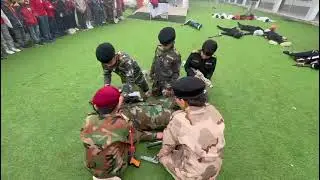 عيد النصر 