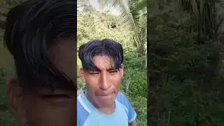 hola mis chicas hermosas del Per&uacute; #memes #humor #per&uacute;