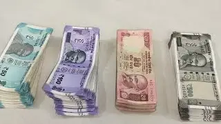 50, 100, 20, 500 Rupees Note💸| 8 February 2025 | Money Counting ASMR Part - 71 | SL.No. 3WU 359485