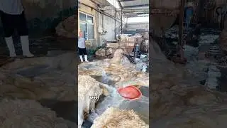 Your Wool Blanket Started Like THIS 😳#WoolBlanket #Sheepskin ##knowledge #usa_tiktok