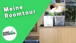 Meine Roomtour im Mantideneck (2019)