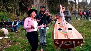 HUAYNO SENTIMENTAL ARPA & VIOLIN / GIRASOL DE UMAMARCA