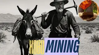 Amateur Gold Prospecting In The Middle Of The Nevada Desert  #short #gold #rockhound