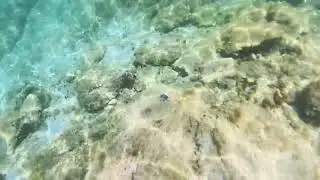 VID 20250717 121119 00 006 mp4 noSnd