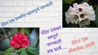 For Loksewa preparation / Province No.1 important Information -| Revive Info