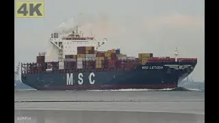 MSC LETIZIA - Shipspotting Germany 🇩🇪 IMO 9702065 - River Elbe near City Otterndorf - 4K VIDEO