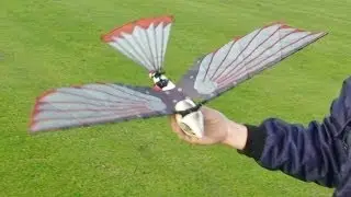 CYBIRD - ORNITHOPTOR - RC ROBOT BIRD AT HDMFC