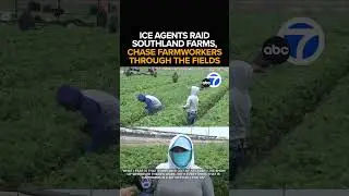 ICE agents raid Ventura County farms, chase workers through fields