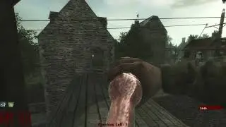 Call Of Duty World At War Custom Zombies 