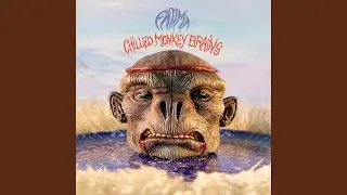 Chilled Monkey Brains