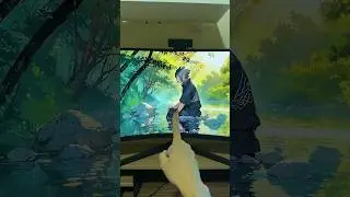 COMO COLOCAR WALLPAPER ANIMADO DE GRA&Ccedil;A E R&Aacute;PIDO NO PC