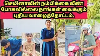 செமினானின் விடாமுயற்சி இன்று நிறைவேறியது,🤗|JSPwatching|Srilankan Tamil vlog.