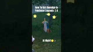 Wild Zone 4 l Honedge | Pok&eacute;mon Legends: Z-A
