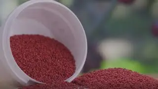 Exploring Natural Exfoliants for skin cleansing and body scrubs