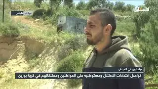 تواصل اعتداءات الاحتلال ومستوطنيه على المواطنين وممتلكاتهم في قرية بورين