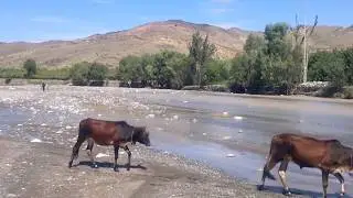 District Zhob beautiful picnic point view (Silyazai)