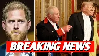 Выпад принца Гарри в адрес Дональда Трампа назван &laquo;безрассудным&raquo; и &laquo;пощечиной&raquo;