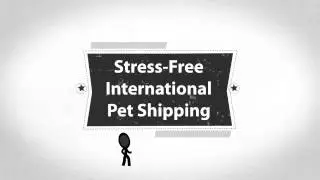 Pet Express Sri Lanka | IPATA & IATA Certified International Pet Travel Agent in Sri Lanka