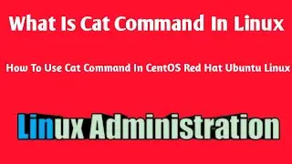 cat command in linux with examples