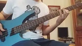 Immortality - Pearl Jam (Raw Bass Cover)