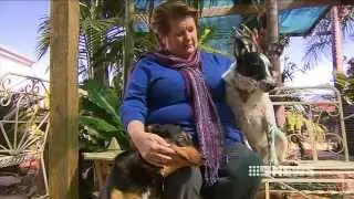 Gypsy - The will to live - Awesome Dog !