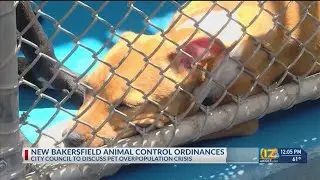 New Bakersfield animal control ordinances