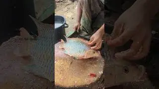 Perfect Tilapia Fish Cutting Skills | So Satisfying 😱 || #shorts #fishcutting