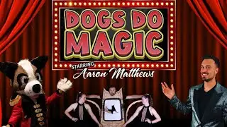 Dogs Do Magic - 2025 Tour