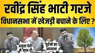 Ravindra Singh Bhati गरजे  vidhansabha में खेजड़ी बचाने के लिए ? vidhansabha Rajasthan latest news