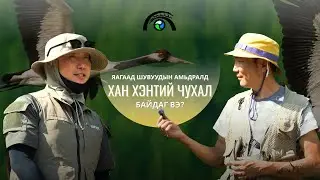 Яагаад шувуудын амьдралд Хэн Хэнтий чухал байдаг вэ?  | Хан Хэнтий Подкаст
