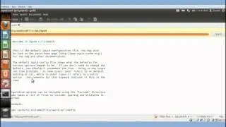 How to setup and Configure Squid Proxy Server on Linux (Ubuntu)