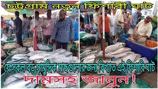 চট্টগ্রামের বিখ্যাত ফিশারি ঘাটে যে সকল বড় সামুদ্রিক মাছগুলো উঠে দাম সহ জেনেনি। Sea Fish|Fishery Gat