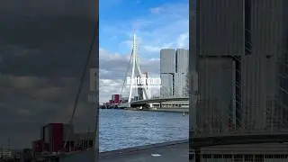 Rotterdam Looks Like a Sci-Fi Movie 🇳🇱✨ | #Shorts