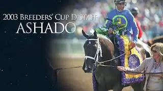 Starlight Racing Highlights